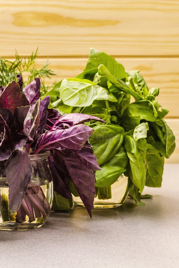 Fresh assorted herbs: basil, arugula, dill royalty free stock photography Fresh assorted herbs: basil, arugula, dill royalty free stock photography
