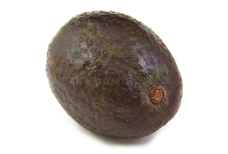 A fresh avocado on a white background stock photo A fresh avocado on a white background stock photo
