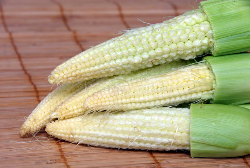 Fresh baby corn closeup. stock image. Image of nutritious 38638949