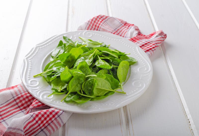 Fresh baby spinach stock image. Image of garden, dark - 67363407