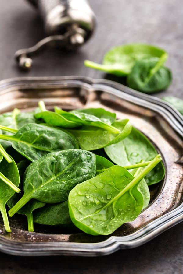 Fresh baby spinach leaves stock photo. Image of healthy - 109582186