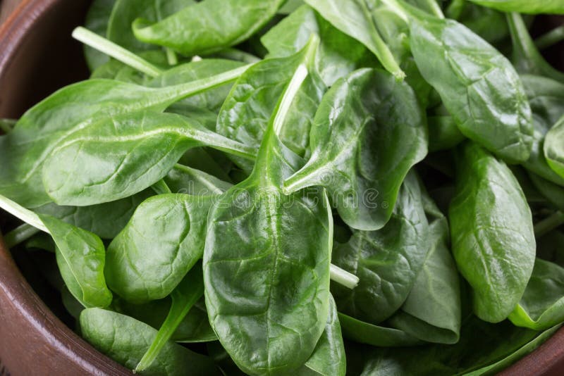 Fresh baby spinach leaves stock photo. Image of ingredient - 139811924