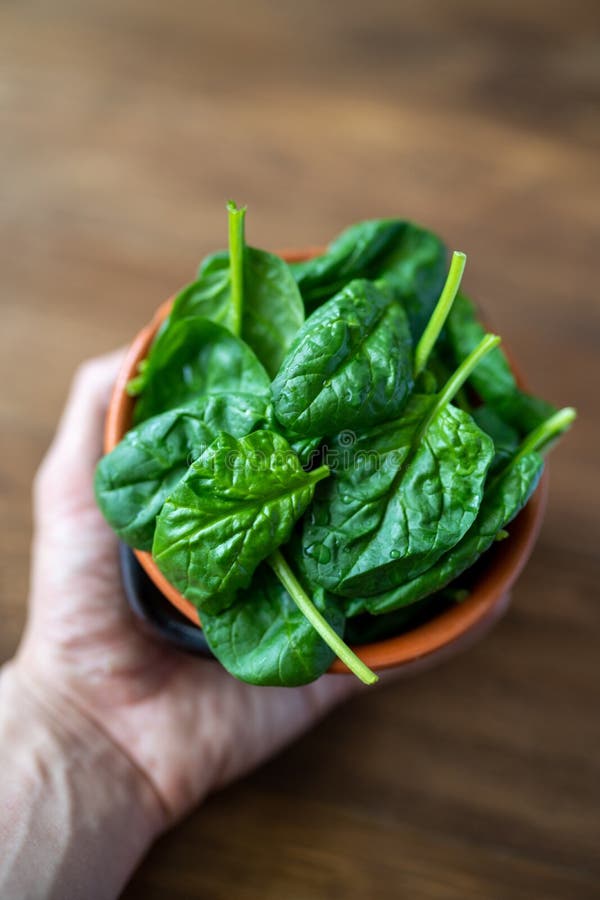 Fresh baby spinach leaves stock photo. Image of vegetable - 182925618