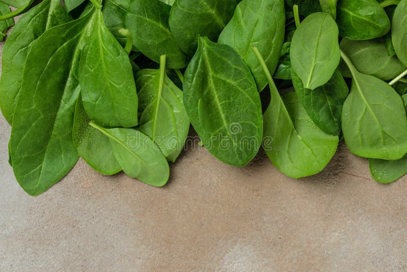 Fresh Baby Spinach Leaves. Pile of Fresh Green Baby Spinach Leaves