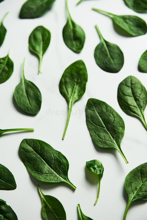 Fresh baby spinach leaves on white marble background. Flat lat, top view. Creative concept where spinach leaves lined royalty free stock photography Fresh baby spinach leaves on white marble background. Flat lat, top view. Creative concept where spinach leaves lined royalty free stock photography