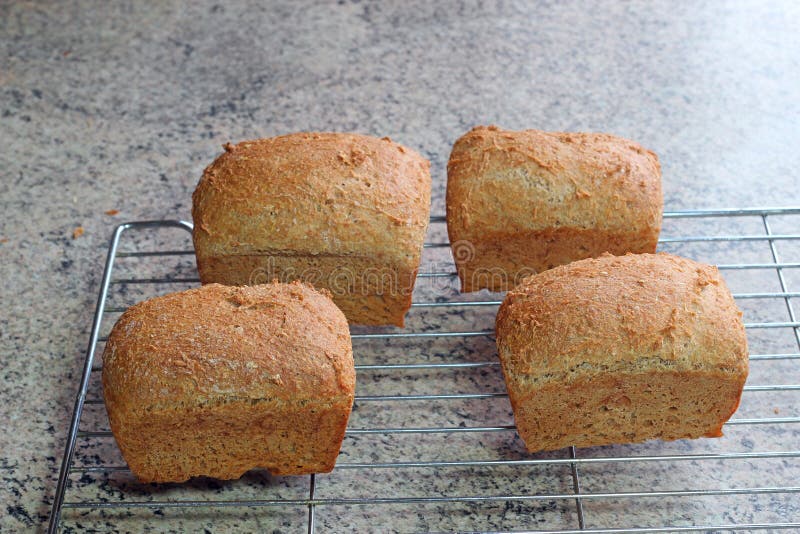 Freshly baked bread cooling on rack. stock photo