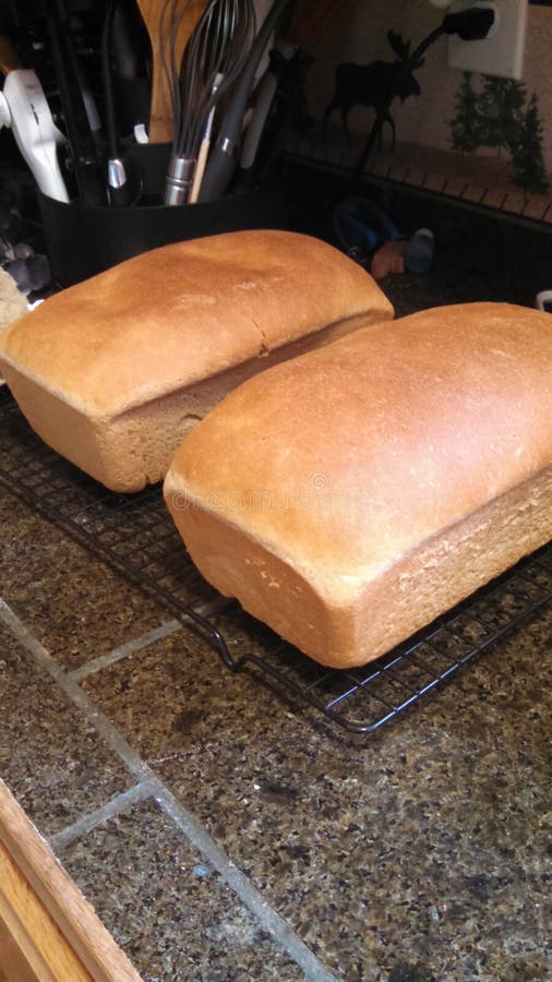 Fresh baked bread stock photo. Image of baked, fresh 56461518