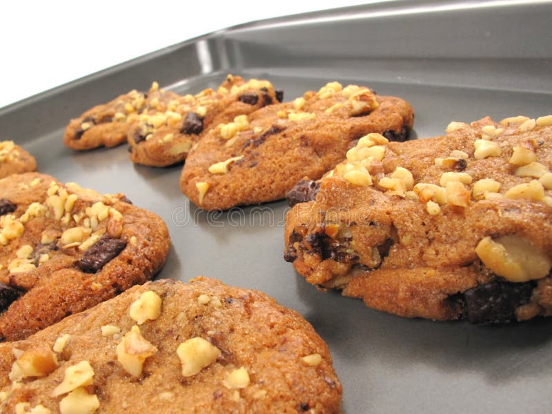 Freshbaked cookies stock photo. Image of cookie, studio 15295160