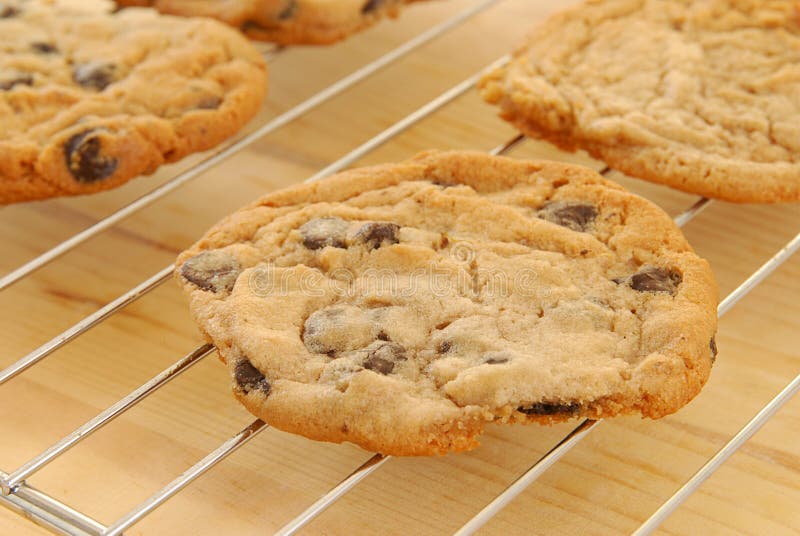 Fresh Baked Cookies stock image. Image of cookies, sugar 16645907