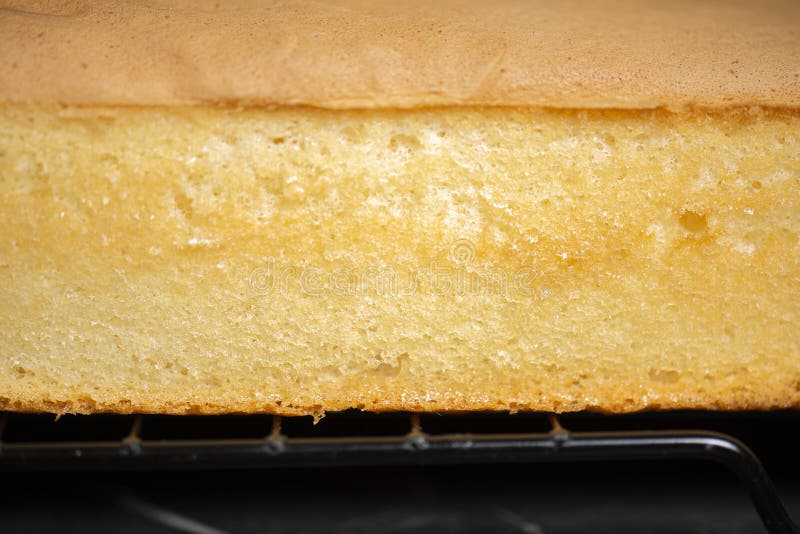 One quarter Size Undecorated Sponge Cake Slab Stock Photo Image Of one-quarter-size-undecorated-sponge-cake-slab-stock-photo-image-of