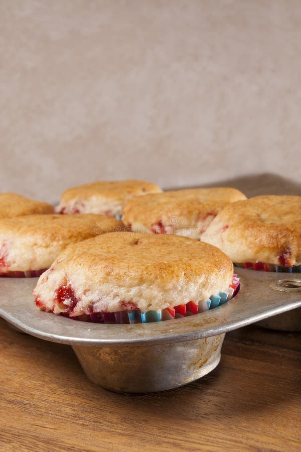 Fresh baked muffins,pan stock image. Image of fluffy 48724185