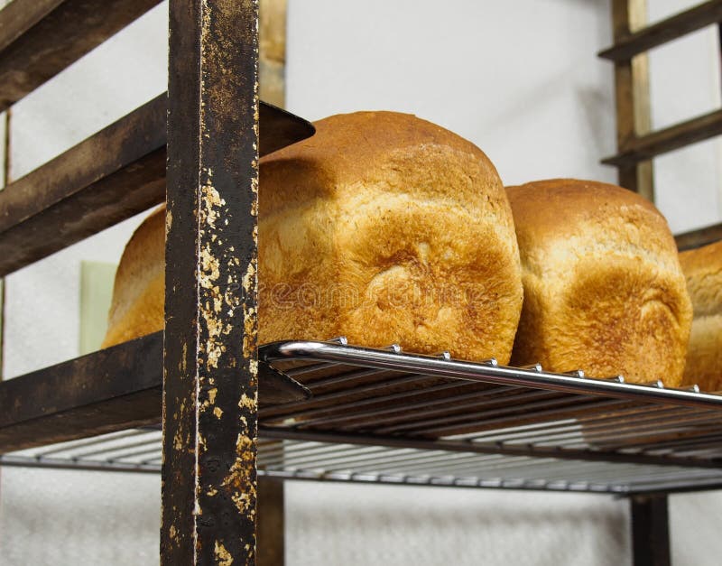Fresh bakery bread stock image. Image of fresh, brown 26913265