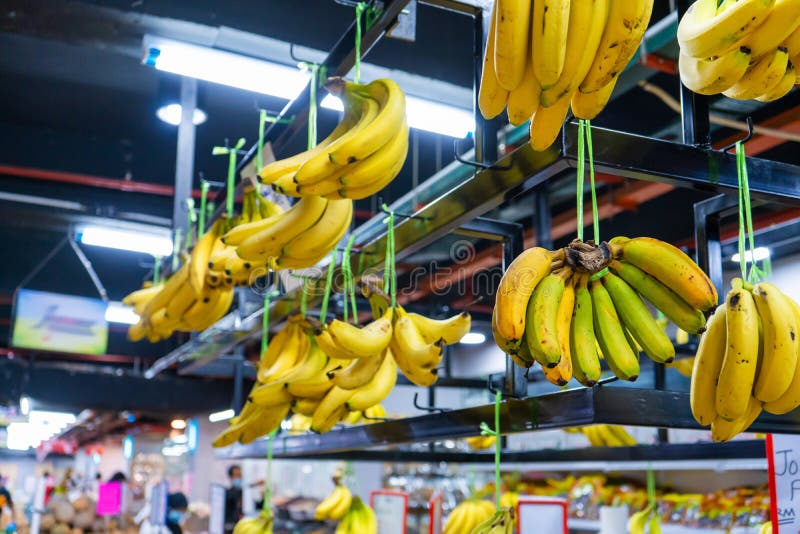 Fresh Bananas in the Vegetable Section of the Grocery Store Stock Photo