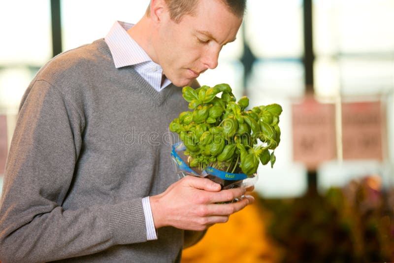 Fresh Basil stock image. Image of supermarket, people 19041987