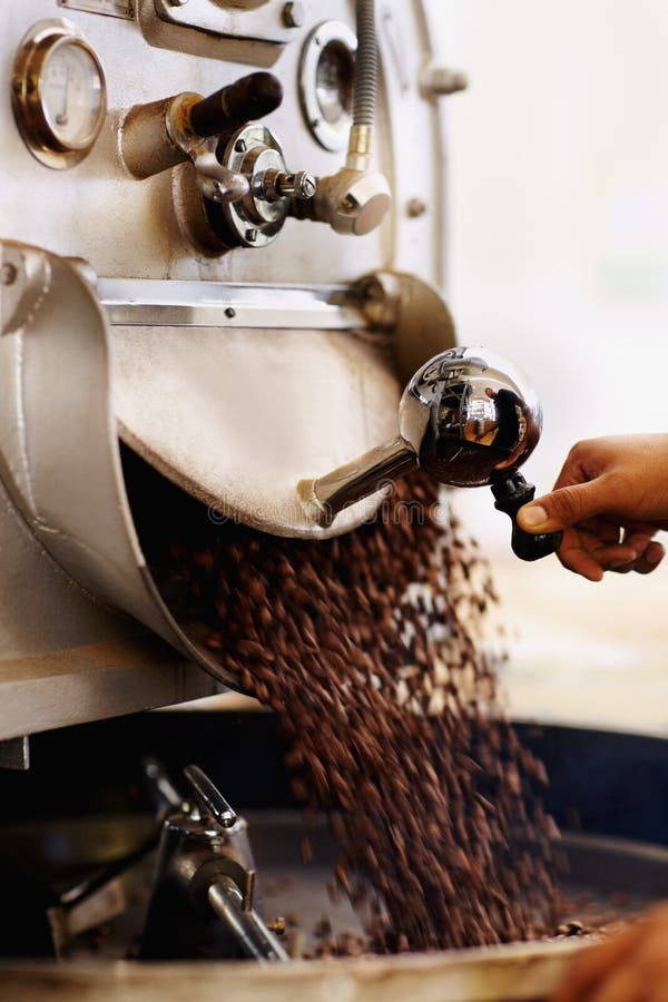 Fresh Beans for the Grind. Shot of Coffee Beans Pouring into an