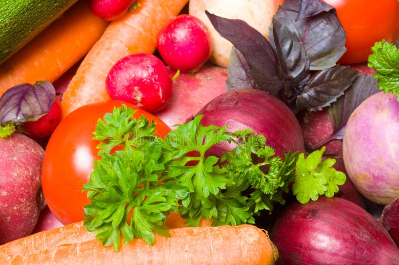 Fresh Beautiful Vegetables. Stock Image Image of celery, carrots 7377409