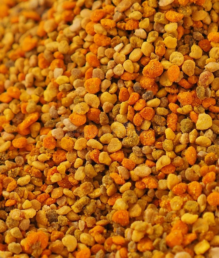 Fresh Bee Pollen, Natural Vitamin Source, Empowering Bee Pollen,pollen and Human Health Stock