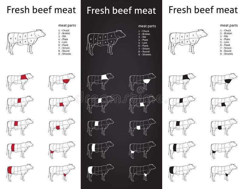 Fresh Beef meat cuts set vector illustration Fresh Beef meat cuts set vector illustration