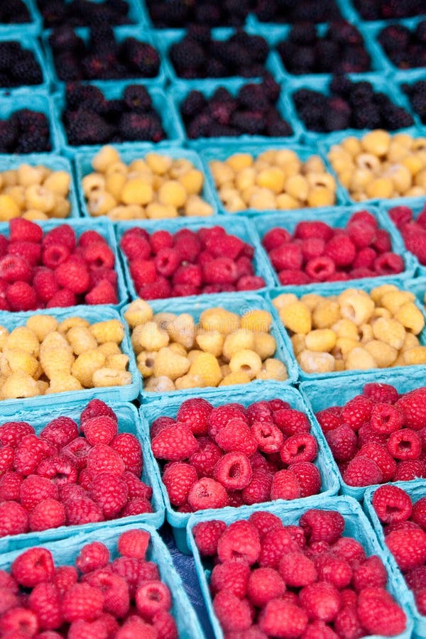 Fresh Berries in Market stock image. Image of fresh, healthy 16483729