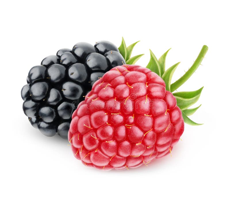 Raspberry and blackberry stock photo. Image of gourmet 48142064