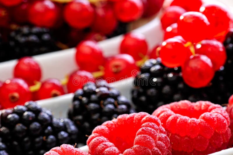 Fresh berry fruits stock photo. Image of nutrition, exotic 10958016