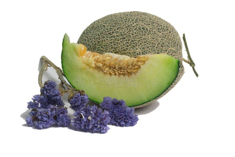 Fresh Big Green Melon Fruit Stock Photo Image of vitamins, melon