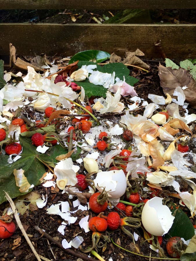 Fresh Bio Waste and Compost with Rose Hips Stock Photo Image of