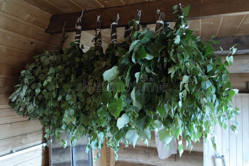 Birch brooms in the bath stock photo. Image of wood 261681424