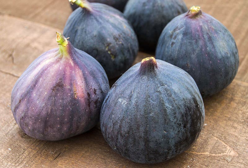 Fresh Black Figs Age Paintings, Fresh Fig Fruit in Dish, Stock Photo