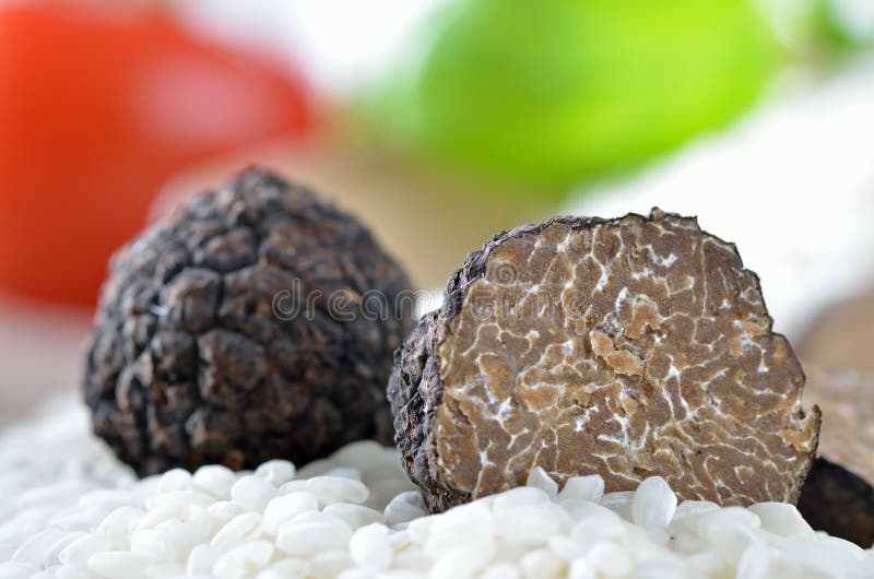 Fresh black truffles