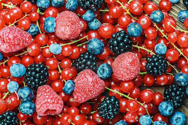 Fresh Blueberries, Currants, Blackberries, Cranberries and Raspberries Stock Photo Image of