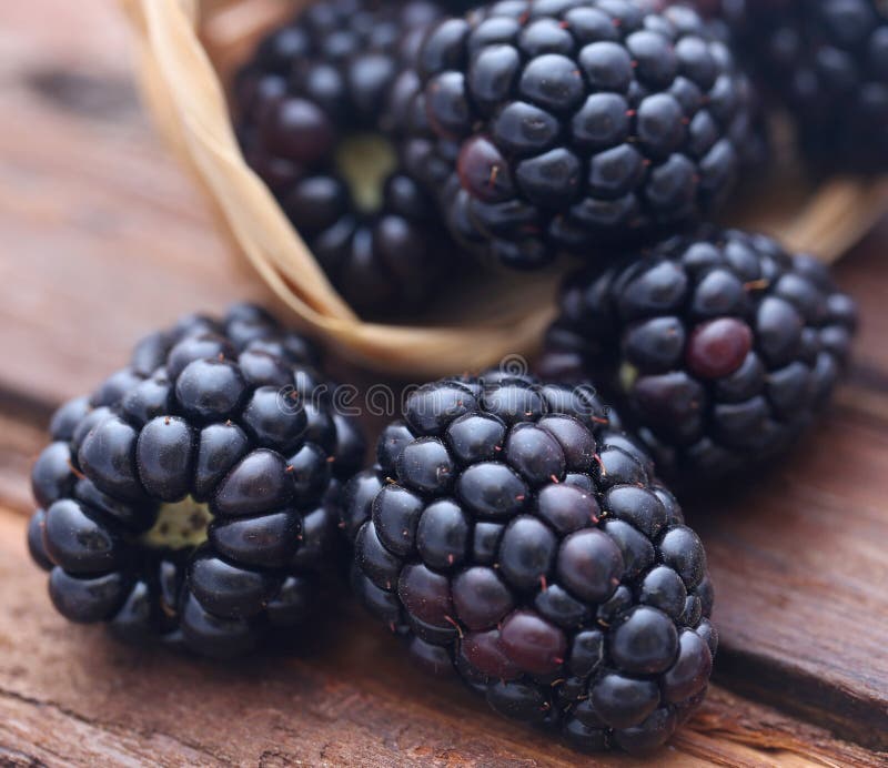 Fresh blackberries stock image. Image of diet, background 122556999
