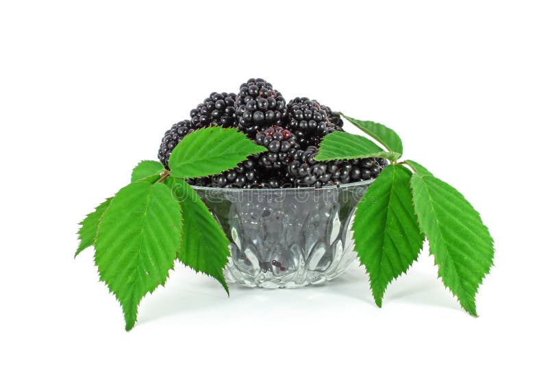 Fresh blackberries in glass bowl