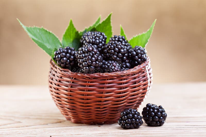 Fresh Blackberry in Small Fruit Basket Stock Photo Image of fresh