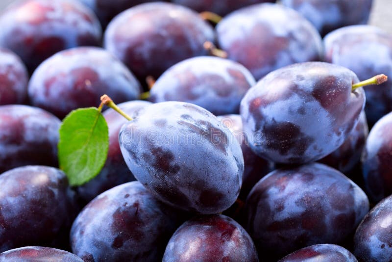 Blue Plums With Leaves In A Bowl On Wooden Table Stock Photo Image of