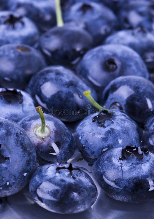 Fresh Blueberries Picture. Image 1991080