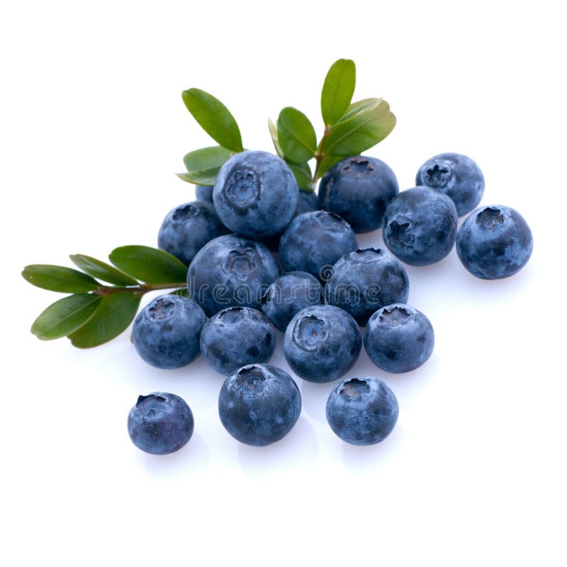 Fresh blueberries stock photo. Image of berries, organic 24090890