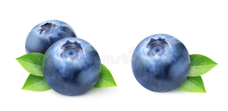 Fresh blueberries royalty free stock photography