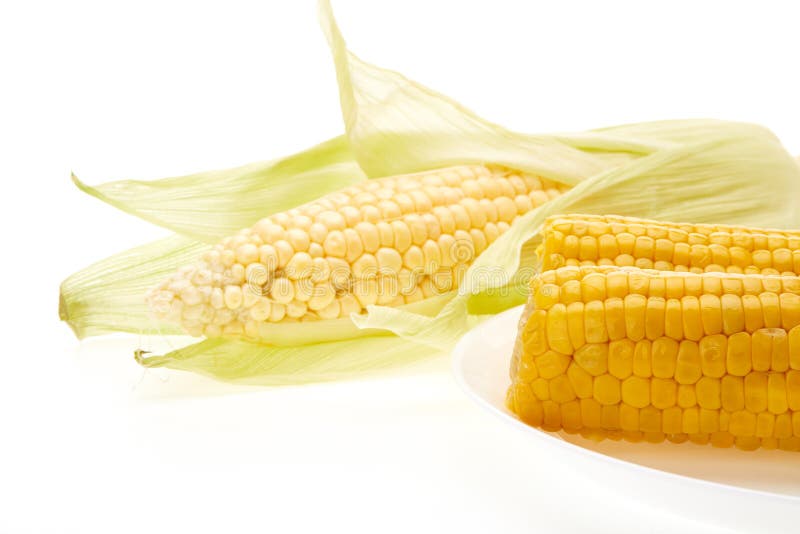 Fresh and Boiled Ears of Corn. Stock Photo Image of healthy