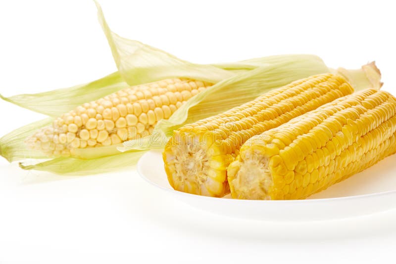 how many kernels on an ear of corn