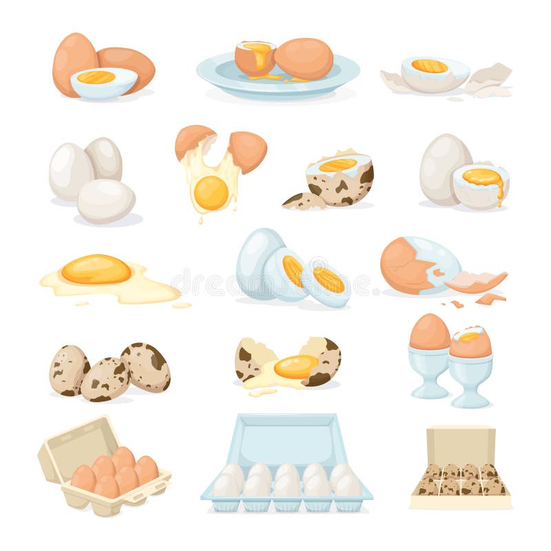 Fresh and boiled eggs. Chicken, quail broken eggs with cracked eggshell and yolks, in cardboard box, egg half with yolk, boiled stock illustration