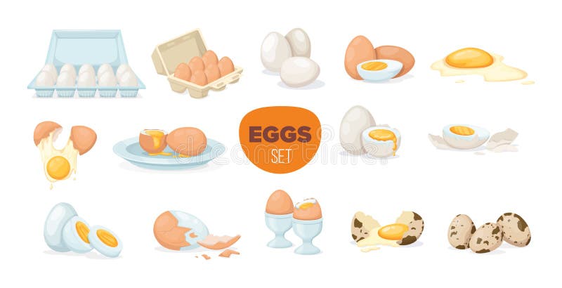 Fresh and boiled eggs. Chicken, quail broken eggs with cracked eggshell and yolks, in cardboard box, egg half with yolk, boiled royalty free illustration