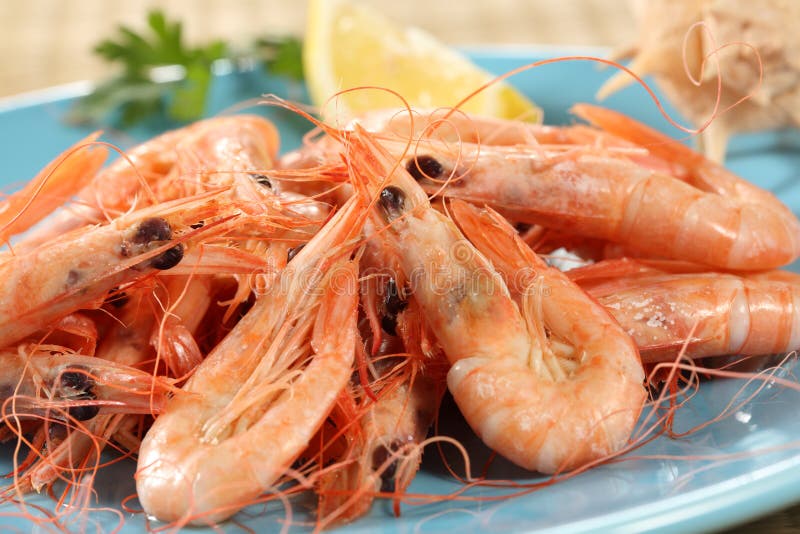 Shrimp Boil stock image. Image of delicacy, dining, shellfish 2593029