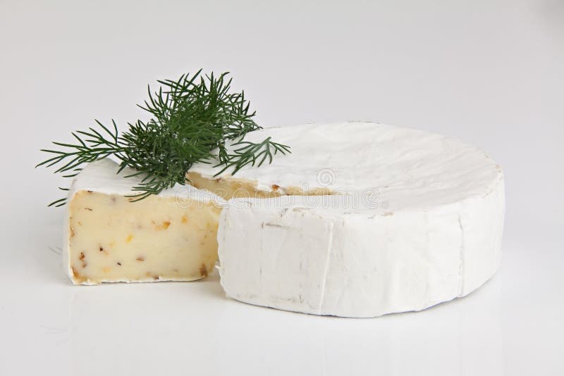 Fresh Brie Cheese with White Mold on a White Background Stock Image Image of focus