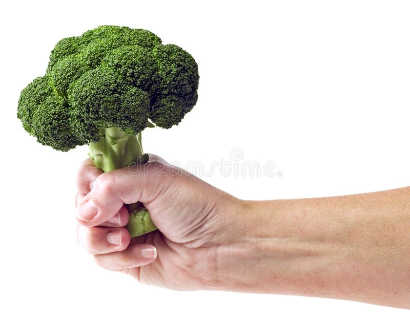 Fresh Broccoli In Hand