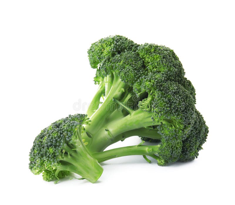 Fresh Broccoli Isolated. Edible Green Plant Stock Photo Image of broccoli, brocolli 163722102