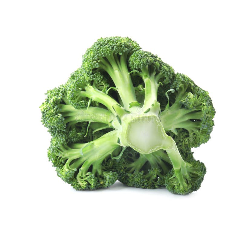 Fresh Broccoli Isolated. Edible Green Plant Stock Image Image of tasty, vitamin 164825677