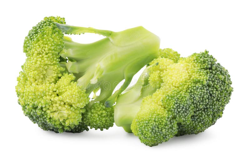 Fresh Broccoli Isolated on White. Edible Green Plant Stock Photo