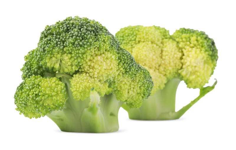 Fresh Broccoli Isolated on White. Edible Green Plant Stock Photo
