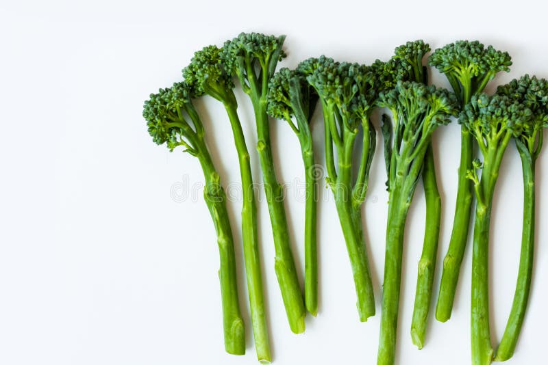 Fresh Broccolini Isolated on White Background with Copy Space Stock